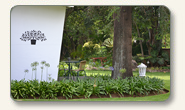 Rustenburg guest house